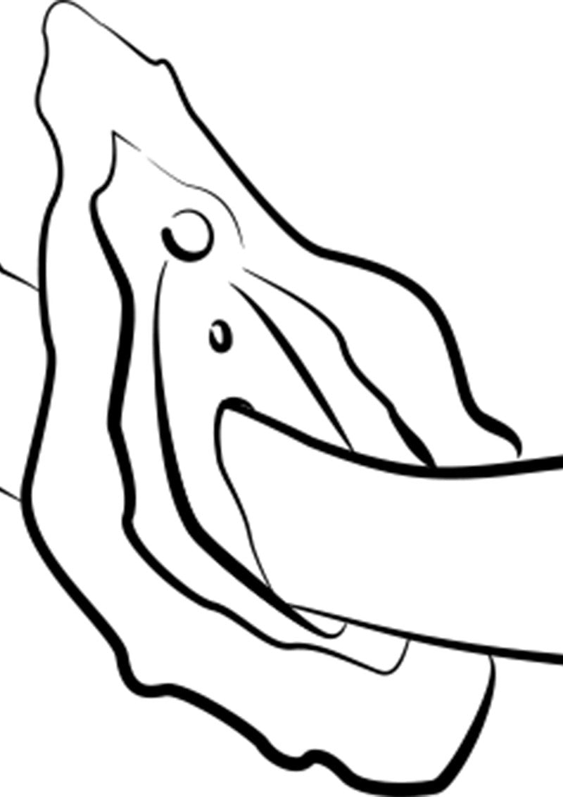 Romp Hype G-spot vibrator
