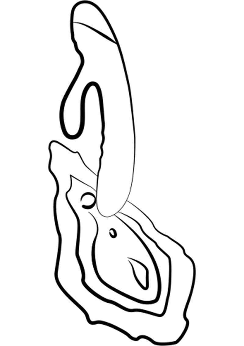 Hull Jazz rabbit vibrator