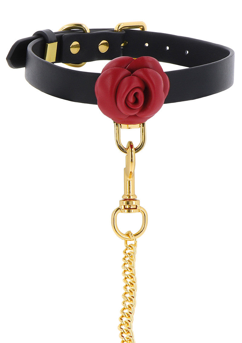 Taboom Wild Roses Collar &amp; Leash