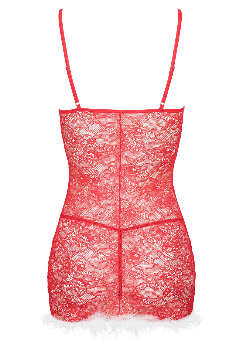 Kotek Kristinella Babydoll and Thong