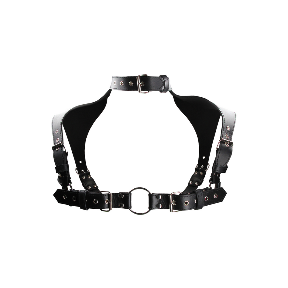 Men Harness with Neck Collar One Size